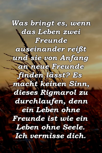 Was bringt es, wenn das Leben zwei Freunde auseinander reißt und sie von Anfang an neue Freunde finden lässt? Es macht keinen Sinn, dieses Rigmarol zu durchlaufen, denn ein Leben ohne Freunde ist wie ein Leben ohne Seele. Ich vermisse dich.